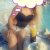 Bakımlı Antalya Olgun Escort Hatun Ezgi Sizi Mest Edecek - Image 3 Bakımlı Antalya Olgun Escort Hatun Ezgi Sizi Mest Edecek - Image 3